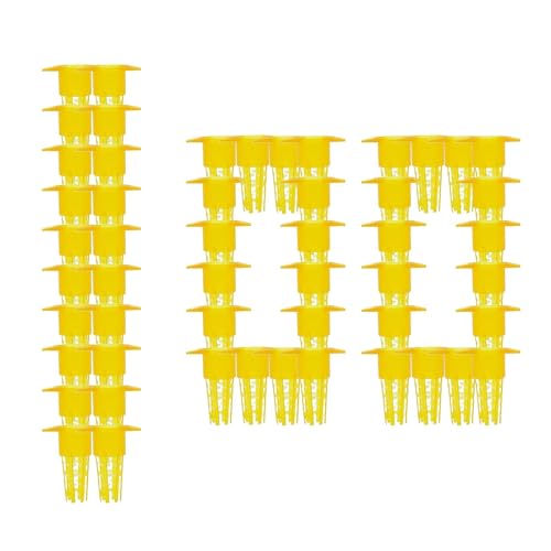 Bienenzucht-Aufzuchtbecher-Set, Bienenköniginkäfig - 100 Stück Bienenkäfig-Königinnenfänger - Effizienter Bienenkönigin-Fänger, Imkereizubehör für die einfache Aufzucht von Bienenköniginnen im Innen- von Lainiaoly