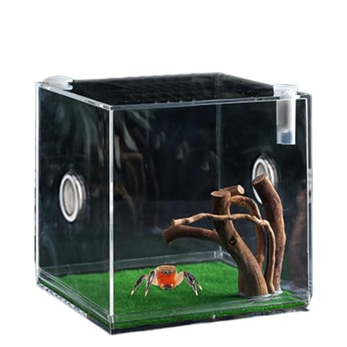 Klarer Reptilienkäfig, Acrylterrarium Zum Springen Von Spinnenwachstum, Klarer Glasreptilienbehälter Mit LED -Licht, Leichtem Und Atmungsaktivem Kleinen Tierzüchter Für Käfer, Schnecken, Eidechsen von Lainiaoly