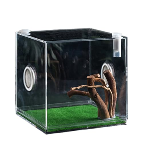 Klarer Reptilienkäfig, Acrylterrarium Zum Springen Von Spinnenwachstum, Klarer Glasreptilienbehälter Mit LED -Licht, Leichtem Und Atmungsaktivem Kleinen Tierzüchter Für Käfer, Schnecken, Eidechsen von Lainiaoly