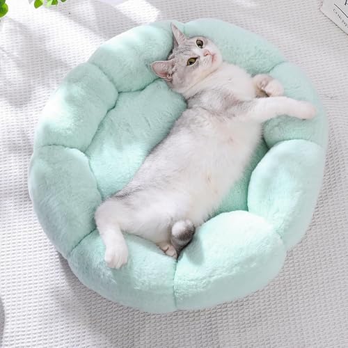 Lainiaoly Hundebett In Blumenform, Warme Katzenbetten, Weiche, Warme Katzenhöhle, Blumen-Katzenbetten, Beruhigende Plüsch-Haustierbetten, Warmes Haustierzubehör Für Den Winter Lainiaoly Hundebett In Blumenform, Warme Katzenbetten, Weiche, Warme Katzenhöhle, Blumen-Katzenbetten, Beruhigende Plüsch-Haustierbetten, Warmes Haustierzubehör Für Den Winter von Lainiaoly
