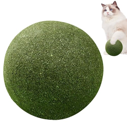 Lainiaoly Katzenminz-Spielzeugball, 10cm Großer Katzenminzenball, Katzenballspielzeug, Katzenminzenspielzeug, Für Katzenkätzchen Im Innen- Und Außenbereich Lainiaoly Katzenminz-Spielzeugball, 10cm Großer Katzenminzenball, Katzenballspielzeug, Katzenminzenspielzeug, Für Katzenkätzchen Im Innen- Und Außenbereich von Lainiaoly