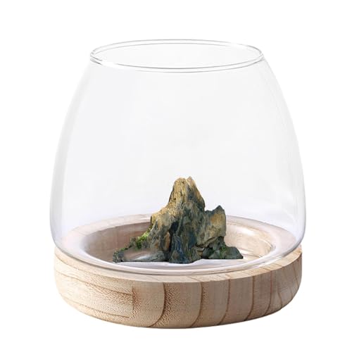 Lainiaoly Transparente Glasvase Mit Holzträger, Hydrokultur-Pflanzenterrarium, Blumenvase Als Tafelaufsatz, Ökologisches Aquarium, Dekorative Glasschale Für Hochzeitsveranstaltungen Und Heimdekoration Lainiaoly Transparente Glasvase Mit Holzträger, Hydrokultur-Pflanzenterrarium, Blumenvase Als Tafelaufsatz, Ökologisches Aquarium, Dekorative Glasschale Für Hochzeitsveranstaltungen Und Heimdekoration von Lainiaoly