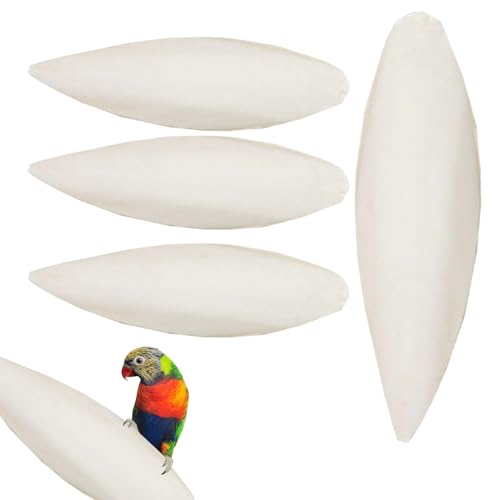 Sepiaschale Für Vogelbedarf | Natürlicher Kalziumlieferant Für Papageien,Interaktives Vögel Spielzeug Mit Calciumversorgung Für Nymphensittiche Conures Wellensittiche Aras Zur Stärkung Der Knochengesu von Lainiaoly