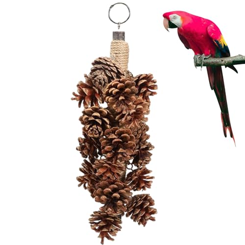 Vogelkäfig-Spielzeug, Vogel-Zerkleinerungsspielzeug - Natürliches, natürliches kleines Vogelspielzeug mit Tannenzapfen,Lustiges Papageienspielzeug, Vogelkauschaukelspielzeug für Haustiervögel, Sittich Vogelkäfig-Spielzeug, Vogel-Zerkleinerungsspielzeug - Natürliches, natürliches kleines Vogelspielzeug mit Tannenzapfen,Lustiges Papageienspielzeug, Vogelkauschaukelspielzeug für Haustiervögel, Sittich von Lainiaoly