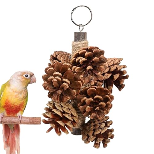 Vogelkäfig-Spielzeug, Vogel-Zerkleinerungsspielzeug | Vogelspielzeug mit Tannenzapfen | Lustiges Papageienspielzeug, Vogelkauschaukelspielzeug für Haustiervögel, Sittiche, Kakadus, Nymphensittiche Vogelkäfig-Spielzeug, Vogel-Zerkleinerungsspielzeug | Vogelspielzeug mit Tannenzapfen | Lustiges Papageienspielzeug, Vogelkauschaukelspielzeug für Haustiervögel, Sittiche, Kakadus, Nymphensittiche von Lainiaoly