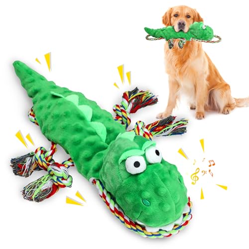 Lairle Quietschendes Plüschspielzeug für Hunde, Dinosaurier-Plüsch, quietschendes Spielzeug, Baumwollseil-Spielzeug, weich, langlebig, Kauspielzeug für kleine, mittelgroße und große Hunde Lairle Quietschendes Plüschspielzeug für Hunde, Dinosaurier-Plüsch, quietschendes Spielzeug, Baumwollseil-Spielzeug, weich, langlebig, Kauspielzeug für kleine, mittelgroße und große Hunde von Lairle