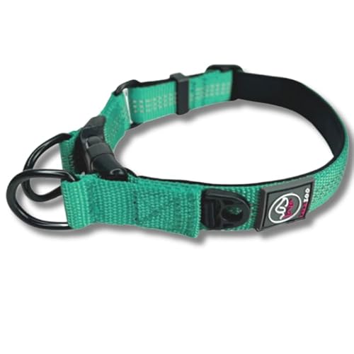 Lalazoo RICO Hundehalsband – Verstellbar Gepolstert Reflektierend mit Doppeltem D-Ring – Weich & Robust – Komfortables Hunde Halsband für Kleine Mittlere & Große Hunde – Türkis, L von Lalazoo