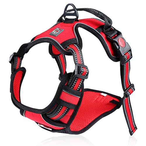 Lalazoo Hundegeschirr AntiZug Typ Guard Elite M Rot Verstellbares Hundegeschirr für kleine Hund Reflektierend Wasserdicht Atmungsaktiv & Bequem Sicherheitsgeschirr mit Griff und stabilem DRing Lalazoo Hundegeschirr AntiZug Typ Guard Elite M Rot Verstellbares Hundegeschirr für kleine Hund Reflektierend Wasserdicht Atmungsaktiv & Bequem Sicherheitsgeschirr mit Griff und stabilem DRing von Lalazoo