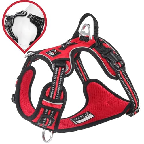 Lalazoo Montana Hundegeschirr Typ Guard – No-Pull verstellbar gepolstert & reflektierend ohne Über-Kopf-Anziehen mit Griff & seitlichem Verschluss für kleine mittelgroße und große Hunde – Rot, L Lalazoo Montana Hundegeschirr Typ Guard – No-Pull verstellbar gepolstert & reflektierend ohne Über-Kopf-Anziehen mit Griff & seitlichem Verschluss für kleine mittelgroße und große Hunde – Rot, L von Lalazoo
