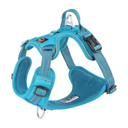 Lalazoo Montana Hundegeschirr Typ Guard – No-Pull verstellbar gepolstert & reflektierend ohne Über-Kopf-Anziehen mit Griff & seitlichem Verschluss für kleine mittelgroße und große Hunde – Türkis, XL Lalazoo Montana Hundegeschirr Typ Guard – No-Pull verstellbar gepolstert & reflektierend ohne Über-Kopf-Anziehen mit Griff & seitlichem Verschluss für kleine mittelgroße und große Hunde – Türkis, XL von Lalazoo