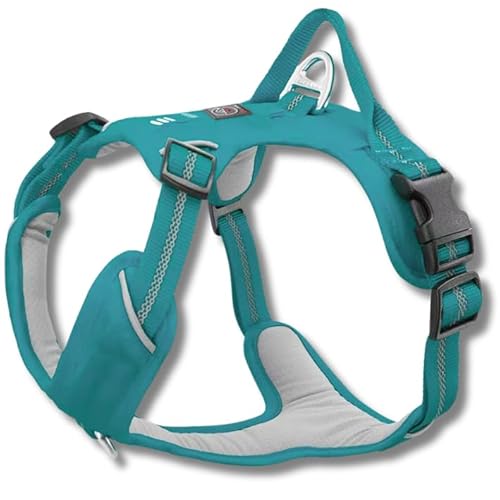 Lalazoo Hundegeschirr No Pull für Hunde mit Griff – Verstellbar, Reflektierend, Gepolstert, Brustgeschirr für kleine & große Hunde – Wasserdicht, Front- & Rückenclip, Farben: Rot/Türkis/Rosa (S-XL) von Lalazoo