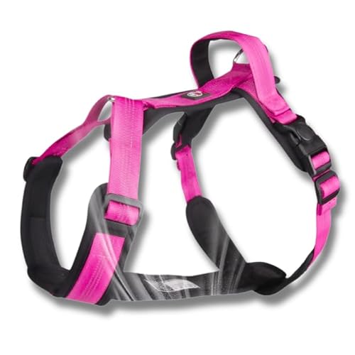 Lalazoo Hundegeschirr Typ Guard Capri L Rosa – Verstellbares Hundegeschirr für große Hunde – Reflektierend, Atmungsaktiv & Bequem mit Neopren-Polsterung und Griff Lalazoo Hundegeschirr Typ Guard Capri L Rosa – Verstellbares Hundegeschirr für große Hunde – Reflektierend, Atmungsaktiv & Bequem mit Neopren-Polsterung und Griff von Lalazoo