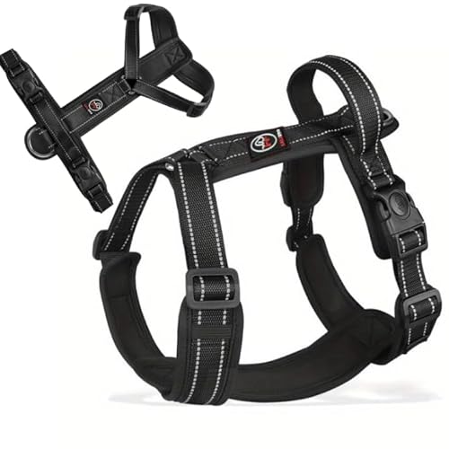 Lalazoo Hundegeschirr Typ Guard Capri S Schwarz – Verstellbares Hundegeschirr für große Hunde – Reflektierend, Atmungsaktiv & Bequem mit Neopren-Polsterung und Griff Lalazoo Hundegeschirr Typ Guard Capri S Schwarz – Verstellbares Hundegeschirr für große Hunde – Reflektierend, Atmungsaktiv & Bequem mit Neopren-Polsterung und Griff von Lalazoo