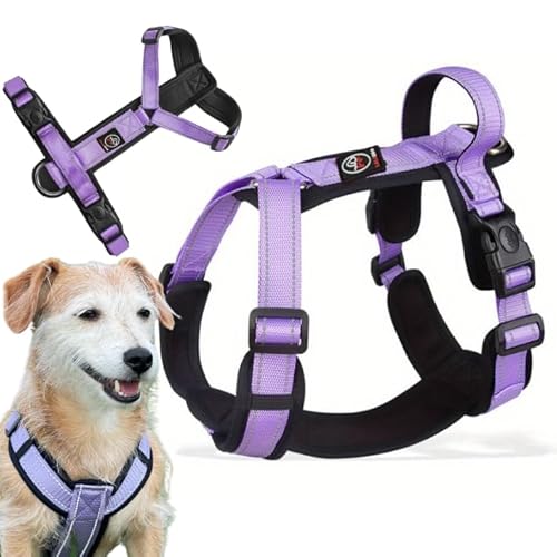 Lalazoo Hundegeschirr Typ Guard Capri XL Lila – Verstellbares Hundegeschirr für große Hunde – Reflektierend, Atmungsaktiv & Bequem mit Neopren-Polsterung und Griff Lalazoo Hundegeschirr Typ Guard Capri XL Lila – Verstellbares Hundegeschirr für große Hunde – Reflektierend, Atmungsaktiv & Bequem mit Neopren-Polsterung und Griff von Lalazoo