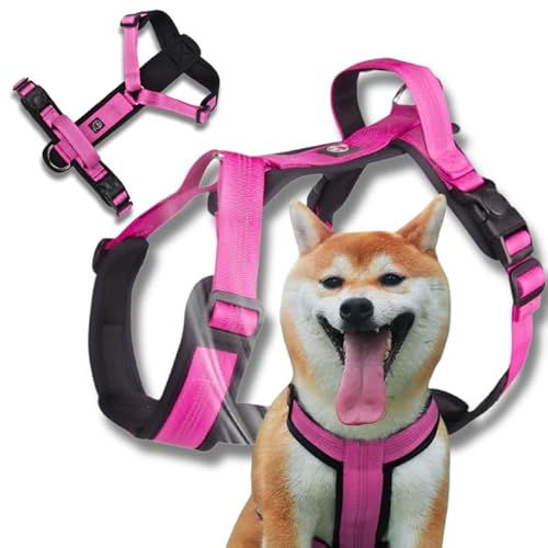 Lalazoo Hundegeschirr Typ Guard Capri XL Rosa – Verstellbares Hundegeschirr für große Hunde – Reflektierend, Atmungsaktiv & Bequem mit Neopren-Polsterung und Griff Lalazoo Hundegeschirr Typ Guard Capri XL Rosa – Verstellbares Hundegeschirr für große Hunde – Reflektierend, Atmungsaktiv & Bequem mit Neopren-Polsterung und Griff von Lalazoo