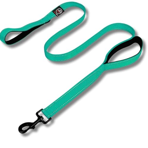 Lalazoo RICO Hundeleine Double Handle 180 cm – Trainingsleine mit 2 Griffen & Kurzführer Reflektierend Gepolstert Robust & Wasserdicht – Für Kleine Mittlere und Große Hunde – Türkis, M von Lalazoo