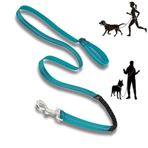 Lalazoo Hundeleine mit Stoßdämpfer, free handle ADVENTURE 180 cm, mit Reflektierendem Gürtel, Länge verstellbar, zum Laufen, Sport (türkis, L) von Lalazoo