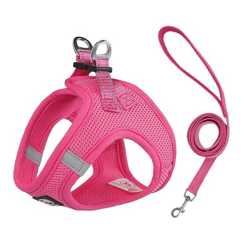 Lalazoo Miami Step in Geschirr für kleine Hunde Mesh verstellbar reflektierend weich atmungsaktiv kein Ziehen leicht komfortabel inkl Leine und Metallverschlüsse Rosa XXS von Lalazoo
