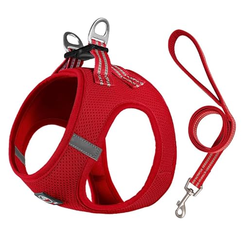 Lalazoo Miami Step in Geschirr für kleine Hunde Mesh verstellbar reflektierend weich atmungsaktiv kein Ziehen leicht komfortabel inkl Leine und Metallverschlüsse Rot S Lalazoo Miami Step in Geschirr für kleine Hunde Mesh verstellbar reflektierend weich atmungsaktiv kein Ziehen leicht komfortabel inkl Leine und Metallverschlüsse Rot S von Lalazoo