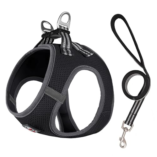 Lalazoo Miami Step in Geschirr für kleine Hunde Mesh verstellbar reflektierend weich atmungsaktiv kein Ziehen leicht komfortabel inkl Leine und Metallverschlüsse Schwarz XS von Lalazoo
