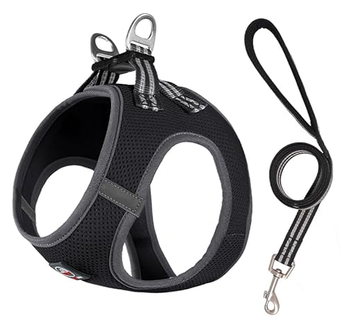 Lalazoo Miami Step in Geschirr für kleine Hunde Mesh verstellbar reflektierend weich atmungsaktiv kein Ziehen leicht komfortabel inkl Leine und Metallverschlüsse Schwarz XXXS von Lalazoo