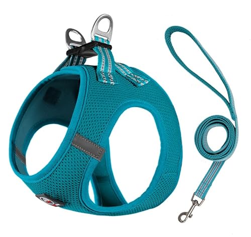 Lalazoo Miami Step in Geschirr für kleine Hunde Mesh verstellbar reflektierend weich atmungsaktiv kein Ziehen leicht komfortabel inkl Leine und Metallverschlüsse Türkis M Lalazoo Miami Step in Geschirr für kleine Hunde Mesh verstellbar reflektierend weich atmungsaktiv kein Ziehen leicht komfortabel inkl Leine und Metallverschlüsse Türkis M von Lalazoo