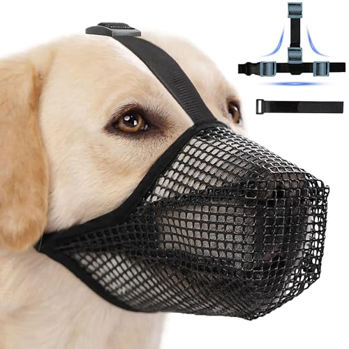 Maulkorb für große Hunde, Maulkorb mittlere Hunde mit Klettverschluss, Atmungsaktive Haustier Maske Hundetraining für Kleine Mittlere große (Blau, M) von Lalieffacely