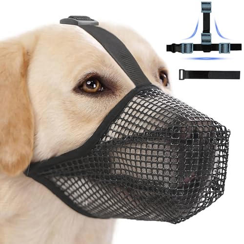 Maulkorb für große Hunde, Maulkorb mittlere Hunde mit Klettverschluss, Atmungsaktive Haustier Maske Hundetraining für Kleine Mittlere große (Grau, S) von Lalieffacely