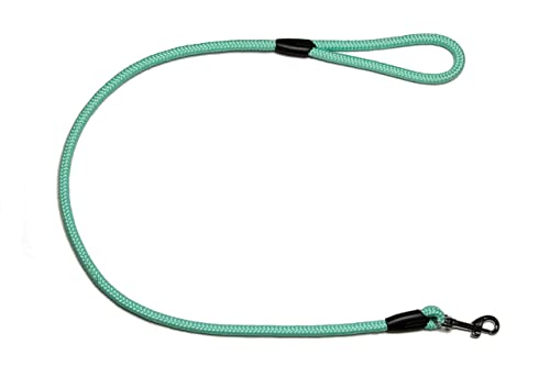 Führleine - Seilleine mit Handschlaufe Basic Ø10mm, 27 Farben, 7 Längen (1,00 m, Mint) von Lallebroe