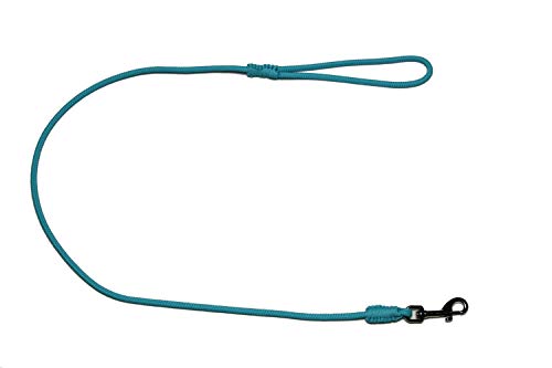 Führleine - Seilleine mit Handschlaufe Pro Mini Ø6mm - für kleine Hunde, 27 Farben, 6 Längen (1,00m, türkis) von Lallebroe