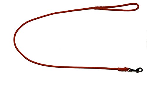 Führleine - Seilleine mit Handschlaufe Pro Mini Ø6mm - für kleine Hunde, 27 Farben, 6 Längen (1,20m, orange) von Lallebroe