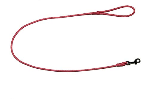 Führleine - Seilleine mit Handschlaufe Pro Mini Ø6mm - für kleine Hunde, 27 Farben, 6 Längen (1,20m, rosa) von Lallebroe