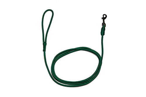 Führleine - Seilleine mit Handschlaufe Pro Mini Ø6mm - für kleine Hunde, 27 Farben, 6 Längen (2,00m, grün) von Lallebroe