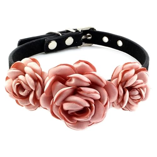 Hundehalsband Für Hündinnen Hunde Katzen Floral Dekorationen Rose Pet Blume Halsbänder Halsketten Mit Metallschnalle Keine Blume Floral Katze Hund Halsbänder Nein Mit Blume Für Mädchen Katzen von Lamala