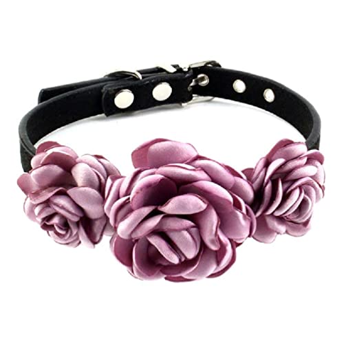 Hundehalsband Für Hündinnen Hunde Katzen Floral Dekorationen Rose Pet Blume Halsbänder Halsketten Mit Metallschnalle Keine Blume Floral Katze Hund Halsbänder Nein Mit Blume Für Mädchen Katzen von Lamala