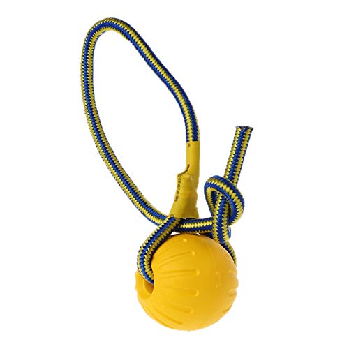 Lamala Pet Dog Interactive Toy Chew Ball Toy with Rope Durable EVA Training for Puppy Dog for Cat Training pet supplies for dogs bowls von Lamala