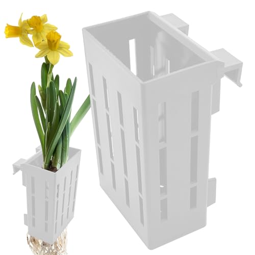 Lambo Halterung für Aquarien | Halterung für Aquatik mit Haken, Blumentopf zum Aufhängen für Aquarium-Pflanzen und Dekorationen von Lambo
