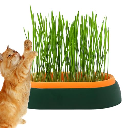 Lambo Katzenkorb für Katzen im Innenbereich | Katzentablett – Katzenbox für Katzen, Hunde und andere Haustiere, drinnen oder draußen, Keimtablett, Zubehör von Lambo