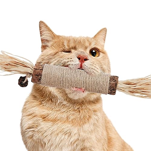 Lambo Silvervine Sticks für Katzen | Natürliche Silvervine-Sticks für die Zahnreinigung von Kätzchen | 38 x 4 cm großes Zahnspielzeug für Katzen, sicher für Ihren Katzenfreund von Lambo