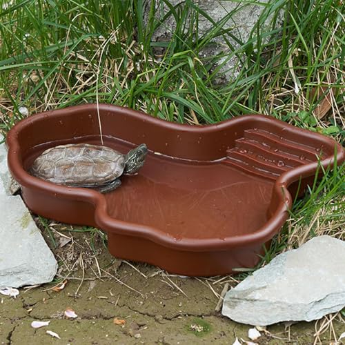 Reptilien Futter Wasser Schüssel Reptilien Schildkröte Futternapf Flach Trinkschale, Reptilien Futternapf mit Rampe und Sonnenplattform, Schildkröten Wasserschüssel Futternapf, Reptilien Feeder Reptilien Futter Wasser Schüssel Reptilien Schildkröte Futternapf Flach Trinkschale, Reptilien Futternapf mit Rampe und Sonnenplattform, Schildkröten Wasserschüssel Futternapf, Reptilien Feeder von Lambo