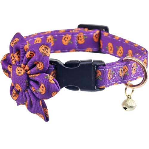 Halloween-Hundehalsband mit abnehmbaren, niedlichen Sonnenblumen, verstellbar, Kürbismuster, Größe M Halloween-Hundehalsband mit abnehmbaren, niedlichen Sonnenblumen, verstellbar, Kürbismuster, Größe M von Lamphyface