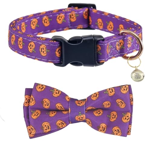 Halloween-Hundehalsband mit abnehmbarer niedlicher Fliege, verstellbar, Kürbismuster, Größe S Halloween-Hundehalsband mit abnehmbarer niedlicher Fliege, verstellbar, Kürbismuster, Größe S von Lamphyface