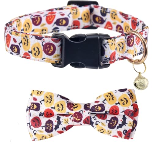 Halloween-Hundehalsband mit abnehmbarer niedlicher Fliege, verstellbares Haustierhalsband, Kürbismuster, Größe M Halloween-Hundehalsband mit abnehmbarer niedlicher Fliege, verstellbares Haustierhalsband, Kürbismuster, Größe M von Lamphyface