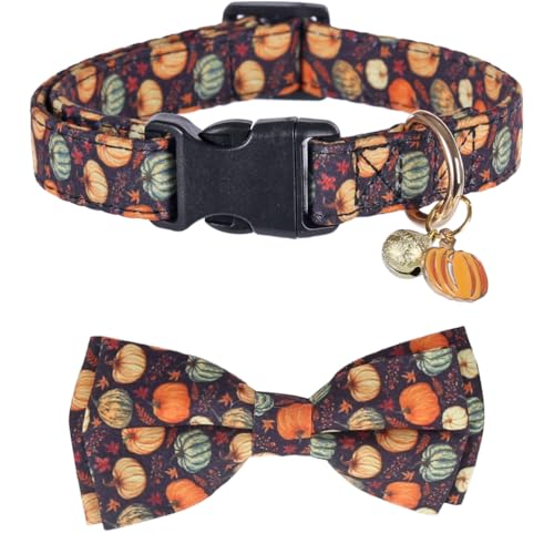 Hundehalsband mit Fliege und Glocke, Herbsturlaub, verstellbare Haustierhalsbänder für Hunde (Kürbis, Größe L) von Lamphyface