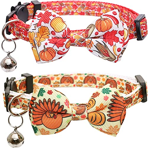 Lamphyface Erntedankfest Katzenhalsband Herbst Breakaway mit Fliege und Glöckchen für Kitty Verstellbare Sicherheit Lamphyface Erntedankfest Katzenhalsband Herbst Breakaway mit Fliege und Glöckchen für Kitty Verstellbare Sicherheit von Lamphyface