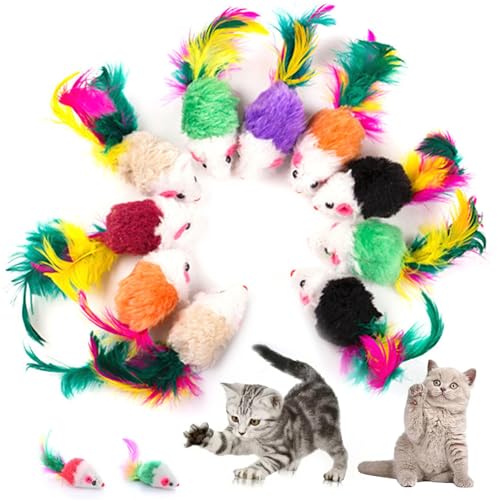 10 pcs Katzenmausspielzeugkätzchen Spielzeug farbenfrohe verschiedene Katzenmaus -Spielzeug 4 -Zoll -Plüsch -Rassel -Katze -Katzenspielzeug mit Federn Schwanz Mini -Mäusen für Innenkatzen interaktive 10 pcs Katzenmausspielzeugkätzchen Spielzeug farbenfrohe verschiedene Katzenmaus -Spielzeug 4 -Zoll -Plüsch -Rassel -Katze -Katzenspielzeug mit Federn Schwanz Mini -Mäusen für Innenkatzen interaktive von Lamppdcor