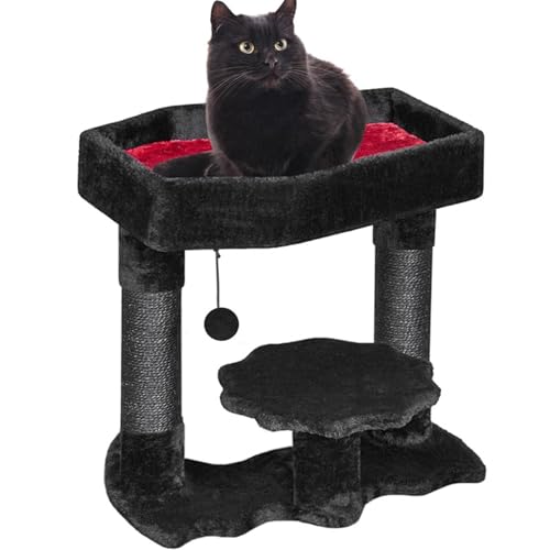 Gothic Cat Tree 20in mit Sargbett Sisal -Kratzer und Spinnenspielzeug Halloween schwarzer Haustiermöbel Gothic Cat Tree 20in mit Sargbett Sisal -Kratzer und Spinnenspielzeug Halloween schwarzer Haustiermöbel von Lamppdcor