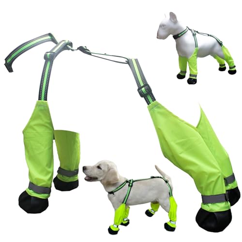 Hundeschuhe wasserdichte Hunde Regenstiefel Anti-Rutsch, Keeberichtungsfesthundstiefel & Pfotenschutz Sommerdünnstil Hundeschuhe große Hunde für Außenspaziergänge, Hartfläche in Innenräumen, xl Hundeschuhe wasserdichte Hunde Regenstiefel Anti-Rutsch, Keeberichtungsfesthundstiefel & Pfotenschutz Sommerdünnstil Hundeschuhe große Hunde für Außenspaziergänge, Hartfläche in Innenräumen, xl von Lamppdcor