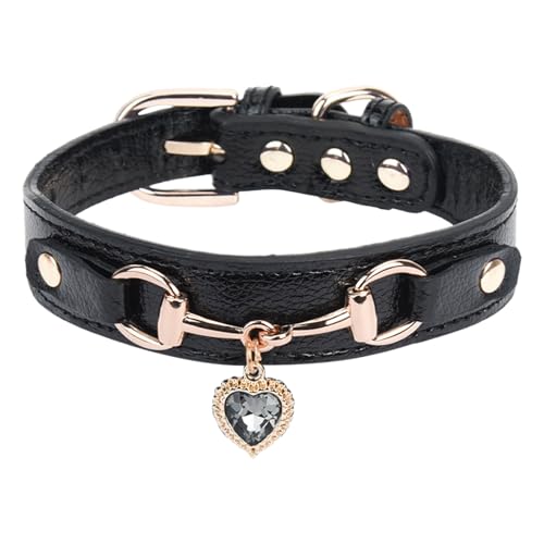 Lancardo Haustierhalsband Leder Katzenhalsband Hundehalsband mit Glänzendem Herz Anhänger Verstellbar Katzen Hunde Halsbänder für kleine bis mittelgroße Haustiere Größe S Schwarz Lancardo Haustierhalsband Leder Katzenhalsband Hundehalsband mit Glänzendem Herz Anhänger Verstellbar Katzen Hunde Halsbänder für kleine bis mittelgroße Haustiere Größe S Schwarz von Lancardo