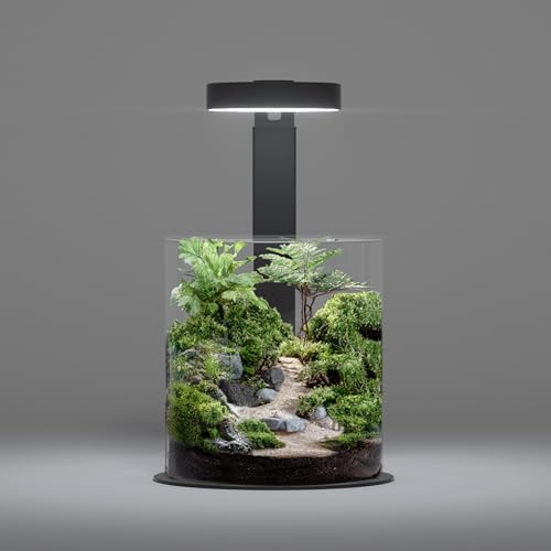 LANDEN Miniatur-Terrarium-Set – komplettes Mikro-Landschaft mit ultraklarem Glas, Moos, Sukkulenten und Pflanzenwerkzeugen – perfekt für Heimwerker zu Hause von Landen